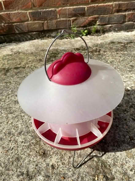 Photo of free Chicken feeder (West End, SO30) #2