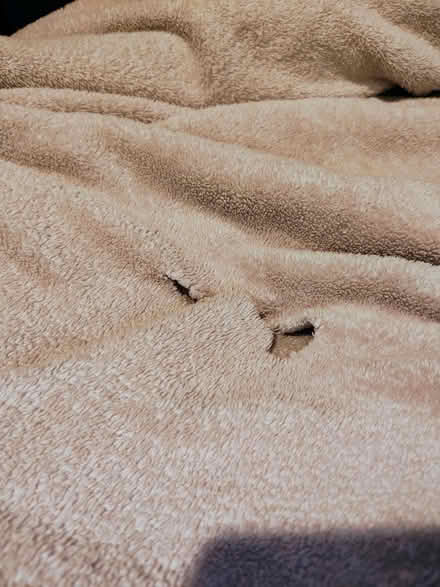 Photo of free 7x7' fuzzy blanket (Westmont) #2