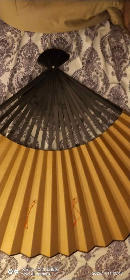 Photo of free Big decorative wall fan (Scarborough) #1