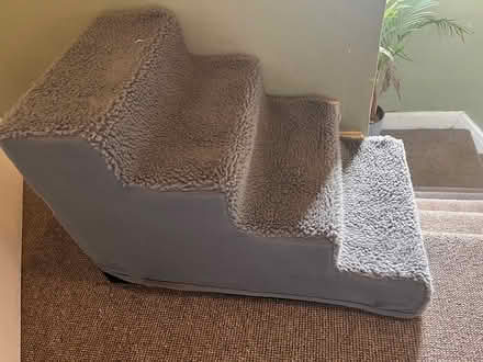 Photo of free Dog steps for bed/sofa (Salford 6 M6 8) #2