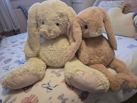 Photo of free Large Bunny Plush x2 (IP32) #1