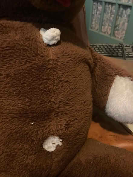 Photo of free "Mom Bear" (Spring Hill, Somerville) #2