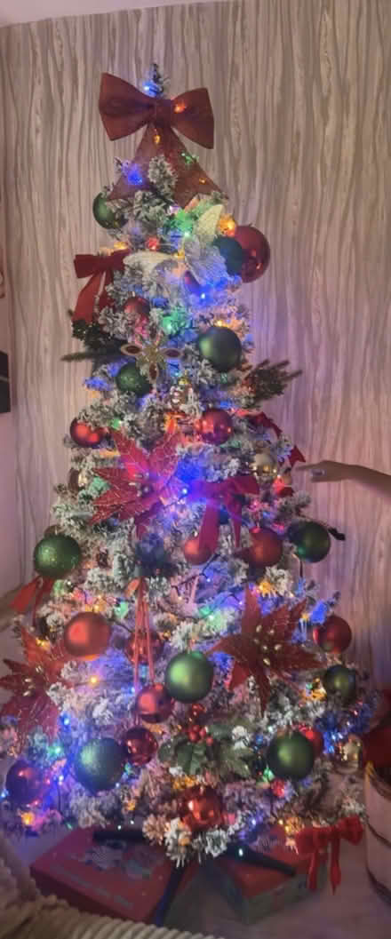 Photo of free 6 foot tree (Sheffield s8 woodseats) #1