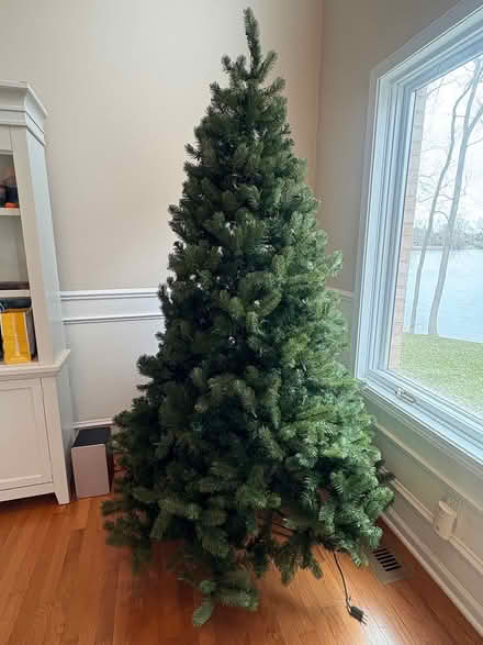 Photo of free 7’ pre-lit Christmas tree (West Plymouth) #1
