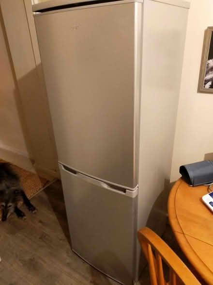 Photo of free LOGIK fridge freezer (Broadclyst) #3