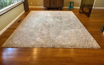 Photo of free Shag rug (Mountlake Terrace) #1