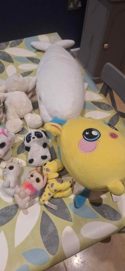 Photo of free Bundle of free soft toys (Berkhamsted HP4) #4
