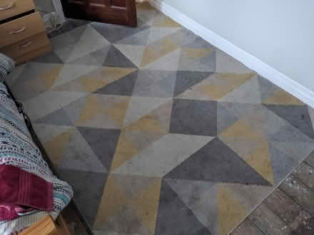 Photo of free Rug (Liverpool L19) #1