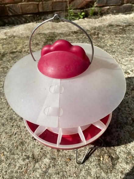 Photo of free Chicken feeder (West End, SO30) #1