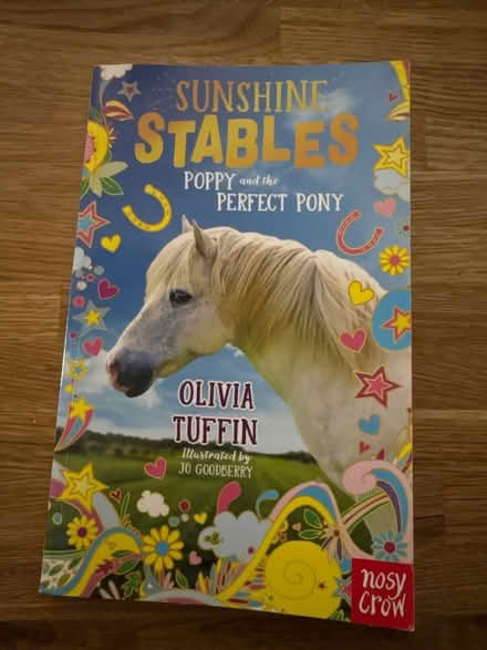 Photo of free Horse story - Basic chapter book (Waterlooville PO8) #1