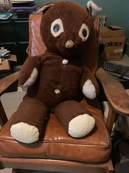 Photo of free "Mom Bear" (Spring Hill, Somerville) #1