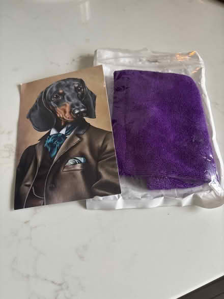 Photo of free Doggie snood (BR3) #1