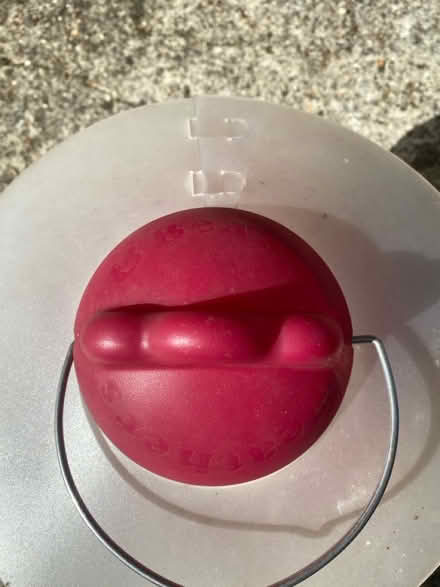 Photo of free Chicken feeder (West End, SO30) #4