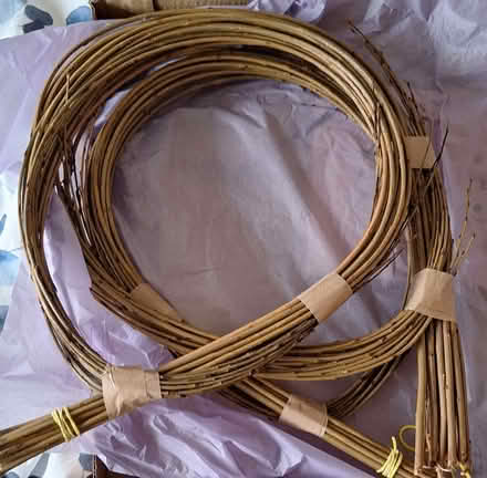 Photo of free Willow bee hotel - KIT (Northenden M22) #2