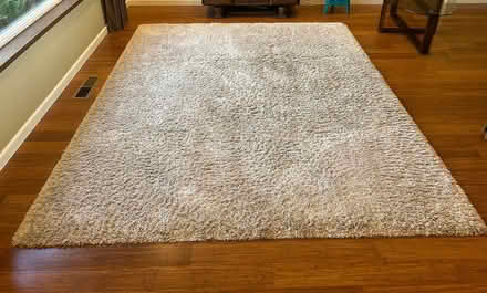 Photo of free Shag rug (Mountlake Terrace) #2