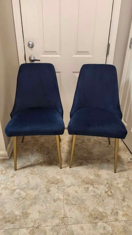 Photo of free Two blue velvet chairs (King Farm) #1