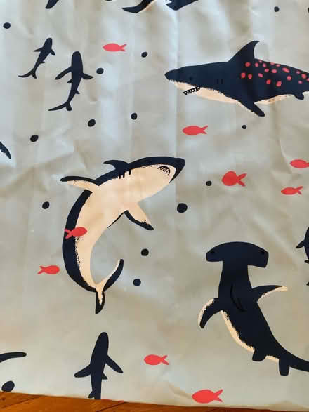 Photo of free Shower curtain (Havertown) #1