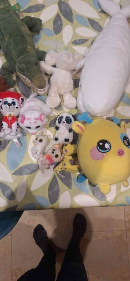 Photo of free Bundle of free soft toys (Berkhamsted HP4) #2