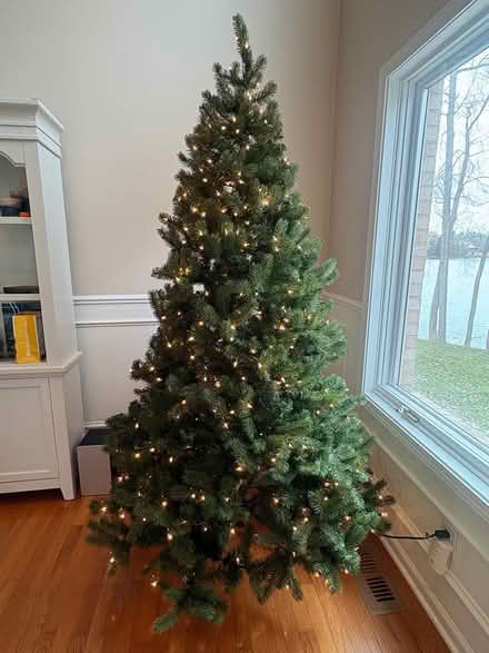 Photo of free 7’ pre-lit Christmas tree (West Plymouth) #2