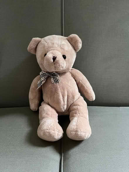 Photo of free Teddy bear (Mid Clevedon BS21) #1