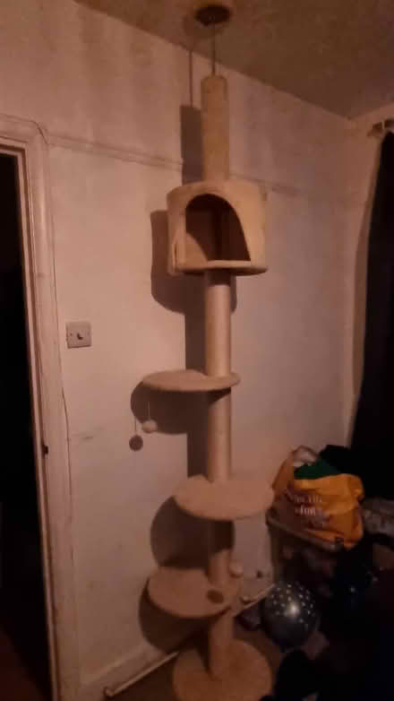 Photo of free Cat tree (East Grinstead (RH19)) #1