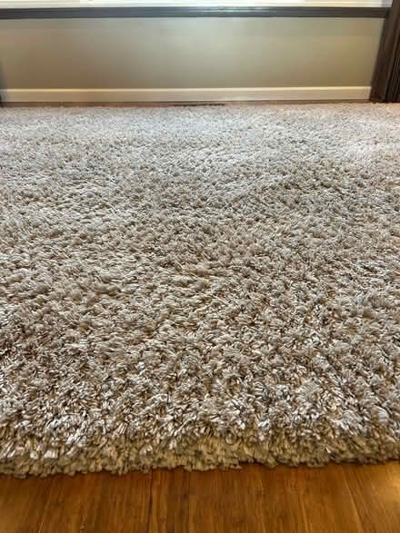Photo of free Shag rug (Mountlake Terrace) #3