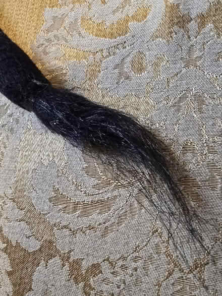 Photo of free Black pin-on Tail (West 7th) #2