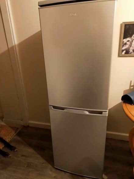 Photo of free LOGIK fridge freezer (Broadclyst) #1