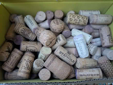 Photo of free Wine Corks (Belmont TN35) #1