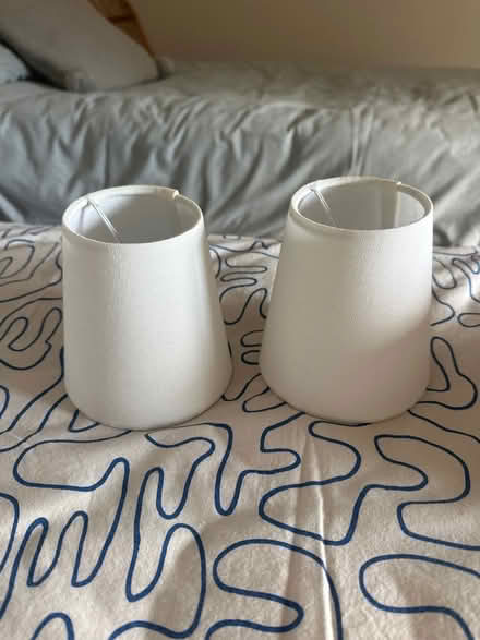 Photo of free Two small lampshades (TN23) #1