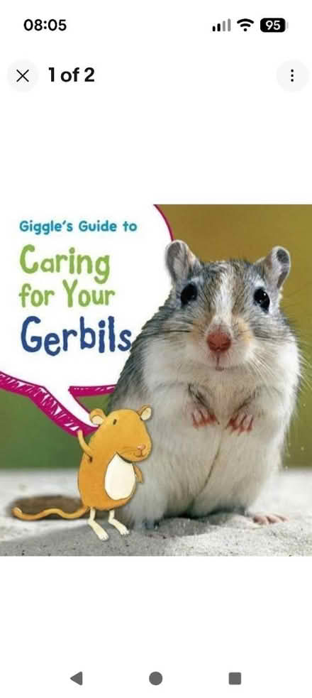 Photo of Gerbil books (Shrewsbury SY2) #1
