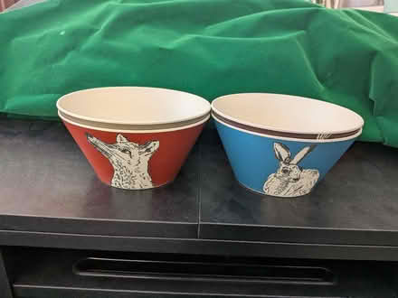 Photo of free Four "Into The Wild" Animal Design Bowls (CT15) #1