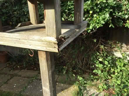 Photo of free Bird table (CT2) #2
