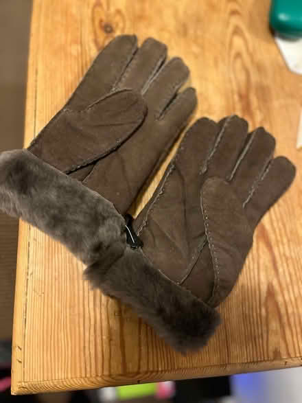 Photo of free Ladies sheepskin gloves (Hoddesdon EN11) #2