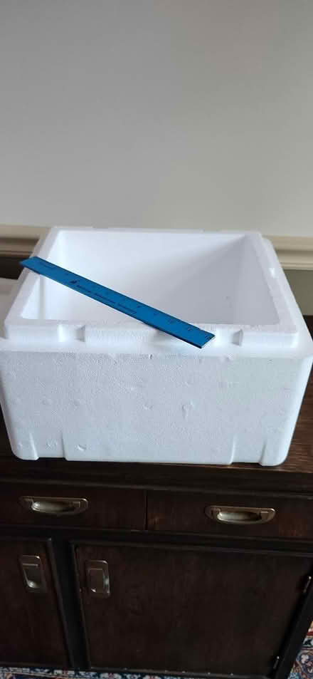 Photo of free Styrafoam cooler (Cap Hill 20002) #1