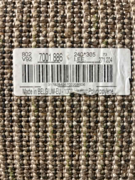 Photo of free Shag rug (Mountlake Terrace) #4