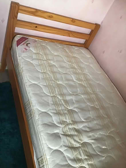 Photo of free Pine single bed (Yaxley) #1
