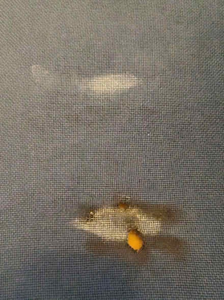 Photo of free Shabby but usable swivel chair (Leigh) #3