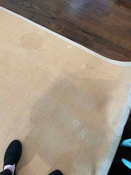 Photo of free 8’ X 10’ Natural Fiber Rug and Pad (22201) #1