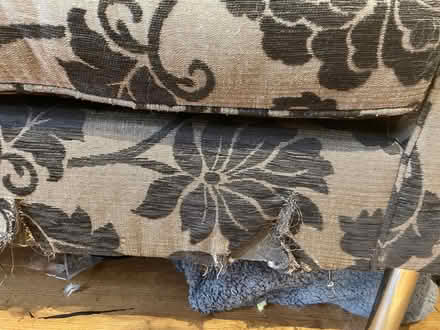 Photo of free Large comfy Sofa (Shepton Mallet BA4) #4