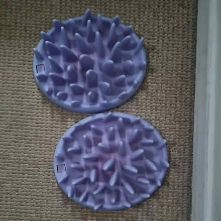 Photo of free Slow feeders for cats (New Marston OX3) #1