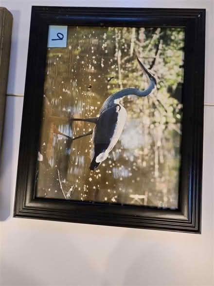 Photo of free Black Picture Frame #2 - 11"x14" (Woodbine, NJ) #1