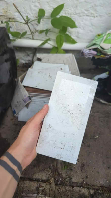 Photo of free White Wickes tiles (BN22) #1