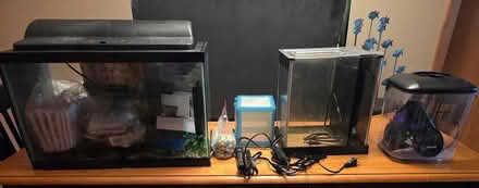 Photo of free Fish tanks & equipment (Winfield) #1