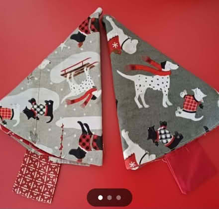 Photo of free Christmas tree napkins (Bradbourne Lakes TN13) #1