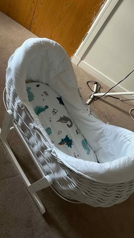 Photo of free Moses pod (Carntyne G32) #3