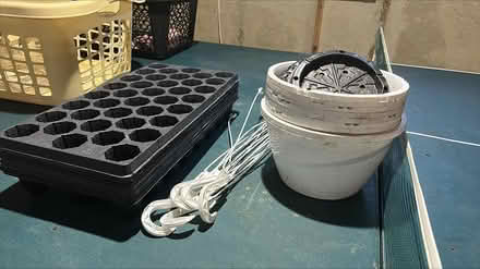 Photo of free Christmas tins, etc (Mayfair Place, Crofton) #1