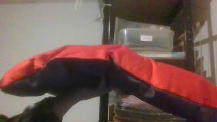 Photo of free waterproof dog cushion medium (Bath BA2) #1