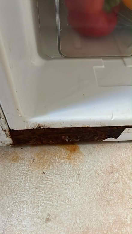 Photo of free Under counter fridge (Wisewood S6) #2