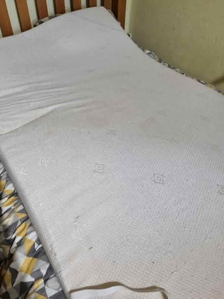 Photo of free Queensize bed topper (Chalford GL6) #1